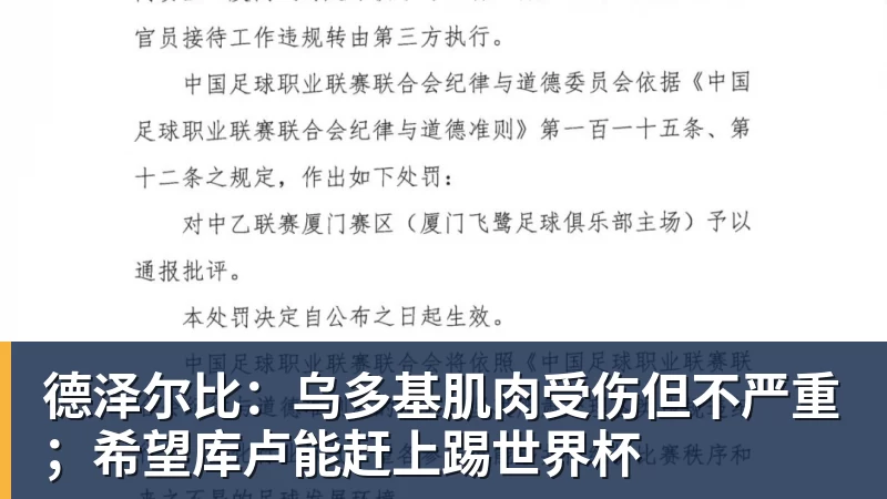 德泽尔比:乌多基肌肉受伤但不严重;希望库卢能赶上踢世界杯