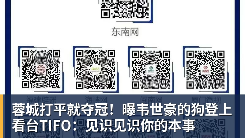 蓉城打平就夺冠！曝韦世豪的狗登上看台TIFO：见识见识你的本事
